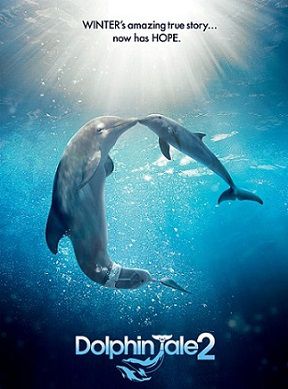 История дельфина 2 (2014) фильм